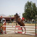 Poni club