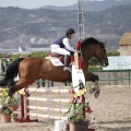 Poni club