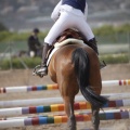 Poni club