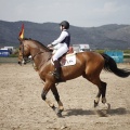Poni club