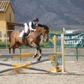 Poni club