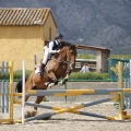Poni club