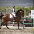 Poni club