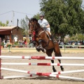 Poni club
