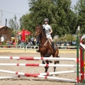Poni club