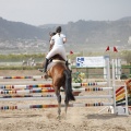 Poni club