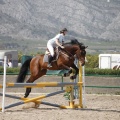 Poni club