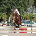 Poni club