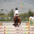 Poni club