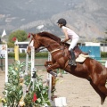 Poni club