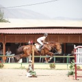 Poni club