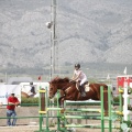 Poni club