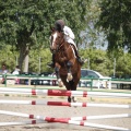 Poni club