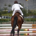 Poni club
