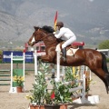 Poni club