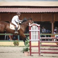 Poni club