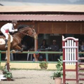 Poni club