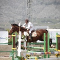 Poni club