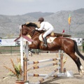 Poni club