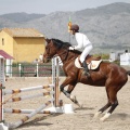 Poni club