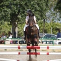 Poni club