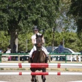 Poni club