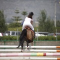 Poni club