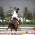 Poni club