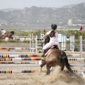 Poni club