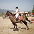 Poni club