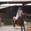Poni club