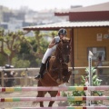 Poni club