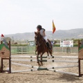 Poni club