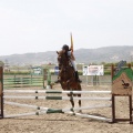 Poni club