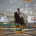 Poni club