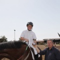 Poni club