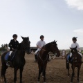 Poni club