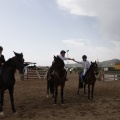 Poni club