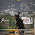 Poni club
