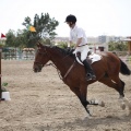 Poni club