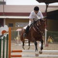 Poni club