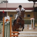 Poni club