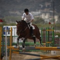 Poni club