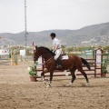 Poni club