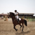 Poni club
