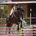 Poni club