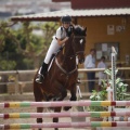Poni club