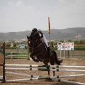 Poni club