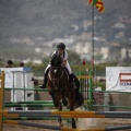 Poni club