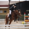 Poni club